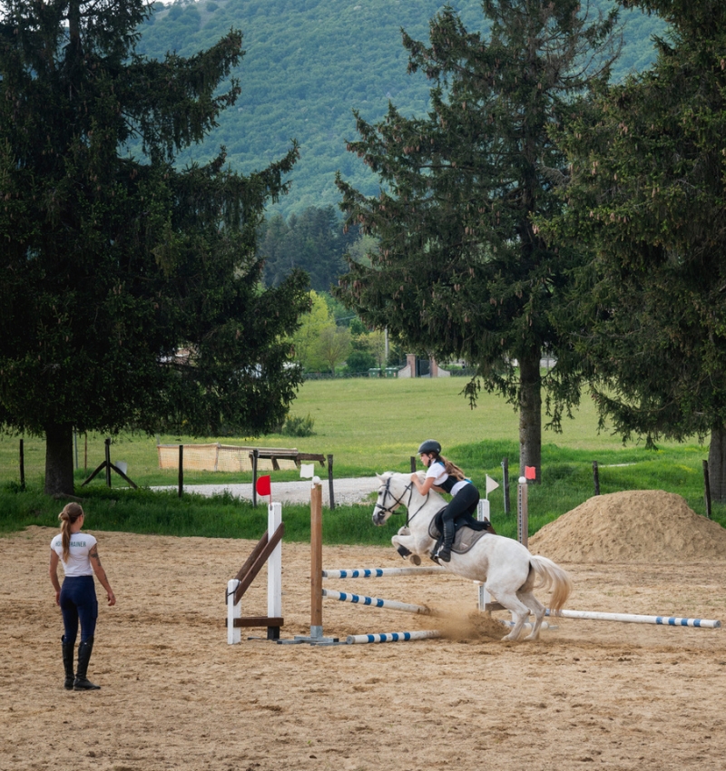 Centro Equestre San Giorgio Campi Gara
