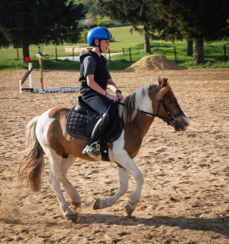 Centro Equestre San Giorgio Servizi (1) Servizio di gestione Leonardo Thematic