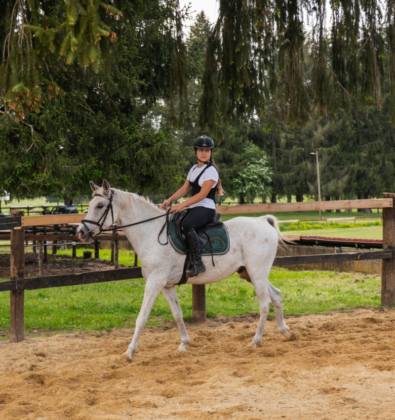 Centro Equestre San Giorgio Servizi (2) Servizio di gestione Leonardo Thematic